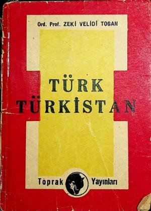 Türk Türkistan
